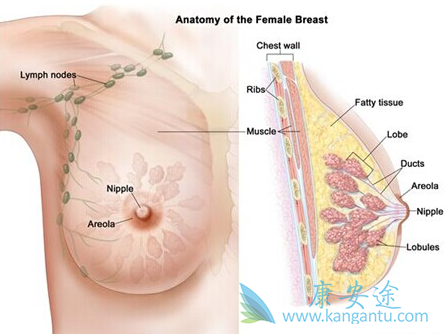 达沙替尼 达沙替尼