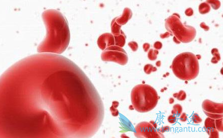 伯舒替尼 伯舒替尼