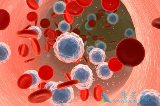 博舒替尼 博舒替尼