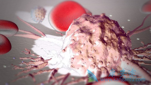 博舒替尼 博舒替尼