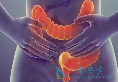 帕尼单抗 帕尼单抗