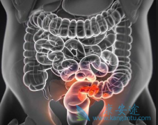 ������ע���ᵥ��(Panitumumab)ʱ�᳦�����߻������Щ������Ӧ