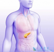 ��������(sutent)���ƽ�չ�ڸ߷ֻ�pNET�������ӳ�����PFSһ��