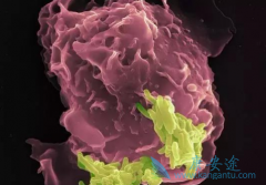 ����FDA�����黼�߳���������ʹ��PD-1������������