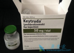 PD-1ҩ�｡Ȭ��(Keytruda)/��ķ�����ڹ�����������