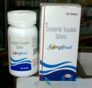 �ΰ����߿��԰�4���༪��(SORAFENAT)�ֳ�2�η�����