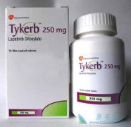 ��������(LAPATINIB)�����͡�����ٰ�������������ͬ��