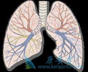 ����ά��