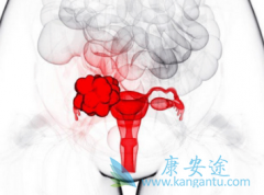 ��������(PAZOPANIB)ά�������ѳ����Ƴ��˽�һ�����Ƶ���Ҫ