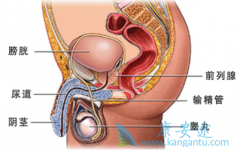ǰ���ٰ�������ô���ƺã��������Ʒ�ʽ���߻�����ࣿ
