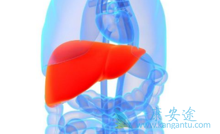 丙肝多长时间能治好 丙肝多长时间能治好