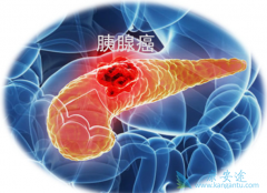 ���ٰ������������޿������������ٰ��ܻ��ã�