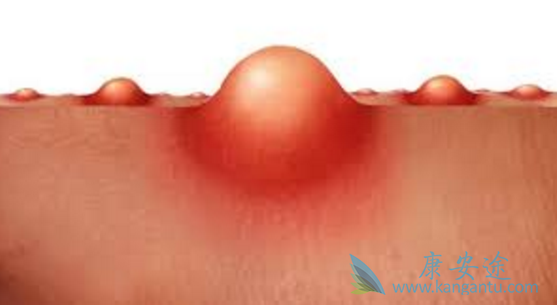 ����֯����