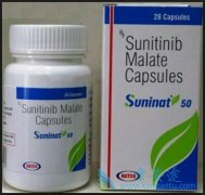 Atezolizumab���ϱ�����������������Ч���ϱ�׼������̹/���������