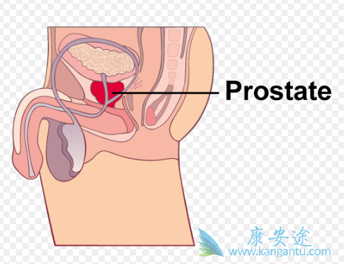 ǰ���ٰ�������