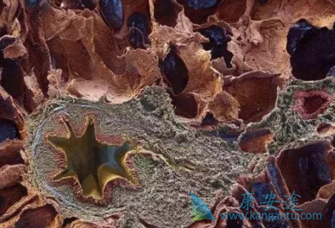 ����ά����ô����