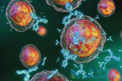 Darzalex�������������ڼ�෢�Թ�������ʳ��ע��ʲô