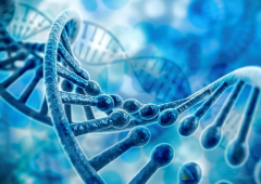 ����ҽ�Ʒ��������Ŵ���ʧ���û����Ʒ����ɿ�