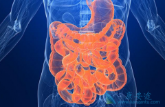 ��������(SUNITINIB)����FOLFIRI��������mCRC��Ч��