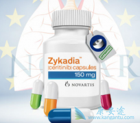 ɫ�����ᣨCeritinib���Ǽ̿��������FDA��׼�ĵڶ���ALK���Ƽ�