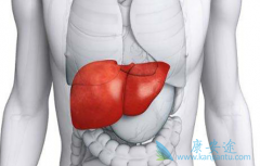 �������ӡ�ȶ༪��(SORAFENIB)����TACE���Ƹΰ�����Ч