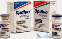 ���䵥�����ں�ɫ������������Ч������