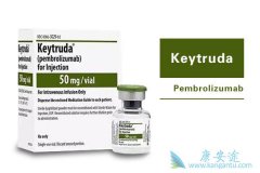 Keytruda���۶��һ�γ�ԽOpdivoʵ��������Ϯ
