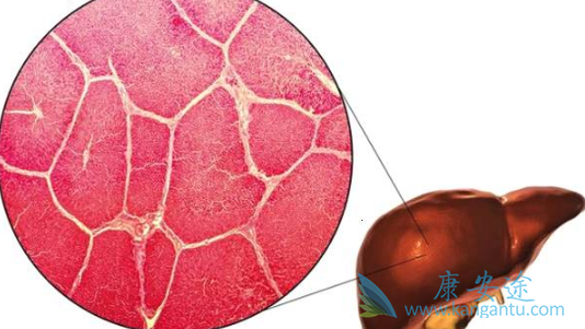 �����׵�