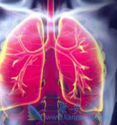 ���۰�����ʹ�������鵥��/̩�������ֵĸ����ö��뻯��ҩ�����