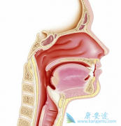 �����鵥�����Ϸ������Ʊ��ʰ���Ч���Ҳ�����Ӧ��󽵵�