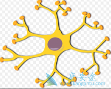 ���ǶȰ���������������ʼ���Ʒǻ�����ܰ��������õ������ԺͰ�ȫ��