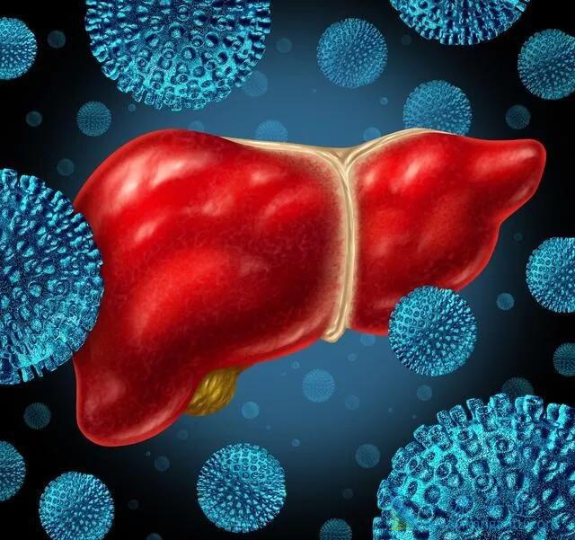 丙肝病毒 丙肝病毒