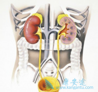 ������/��άĪ˾����Ч�Կ�ͨ���ɳ����Ŀ͹ۻ�����֤��