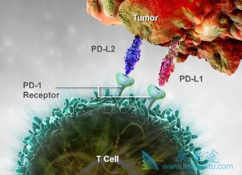 ��ķ����