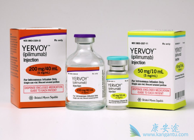 ��ƥľ����