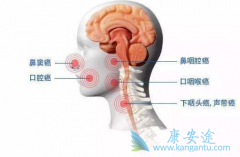 ��ķ����(pembrolizumab)����ͷ��������Ӧ��������������������