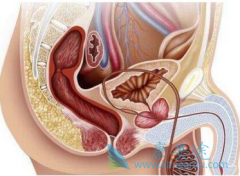 PD-1ҩ��Tecentriq(atezolizumab)���ư��װ����ø���