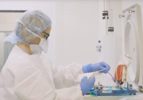 CAR-Tϸ���Ʒ�