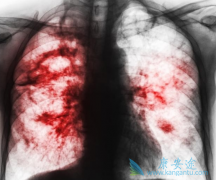 �ΰ�ҩ�￭����/����������������ı�׼��ʲô