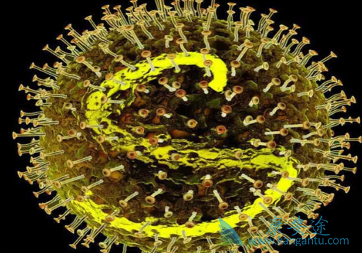 丙肝最佳治疗方法 丙肝最佳治疗方法