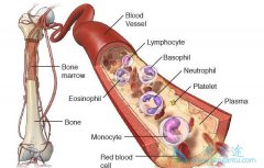 �෢�Թ�����֢״����ͨ������Щ