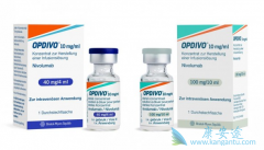 PD-1���Ƽ�Opdivo��Nivolumab��ʹ��������������������ʱ��