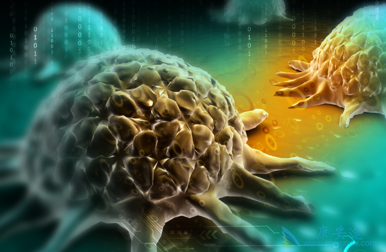 ��Ƥ���ѳ���