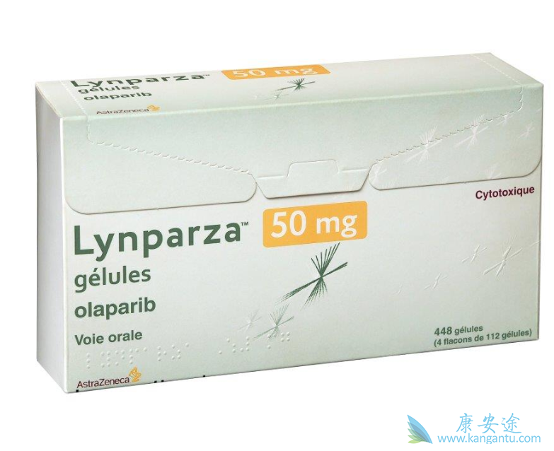 PARP抑制剂 PARP抑制剂