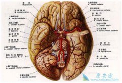 ������֢״����Щ���������������ĸ�Σ����������Щ��