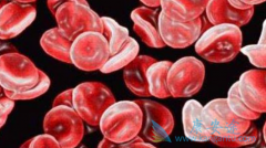 �����������Ϊ���Ե�Ů�Ի��߲��ܷ������ǶȰ�/����