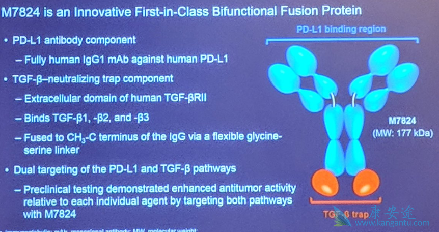 PD-1抑制剂 PD-1抑制剂