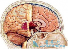 CAR-Tϸ�������Ʒ�����������Խ�����������Ч��