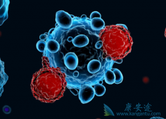 ����ѪҺ��������ʹ��CAR-T�����Ʒ����մ���