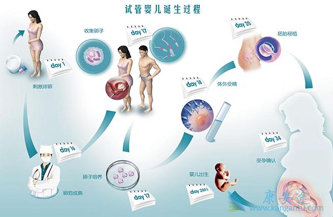 泰国试管婴儿 泰国试管婴儿